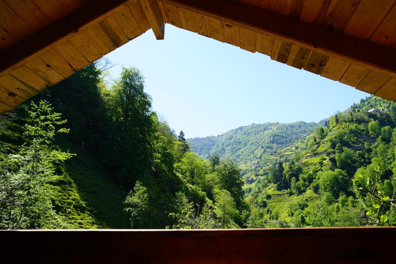 Tanura Bungalows Çamlıhemşin Εξωτερικό φωτογραφία